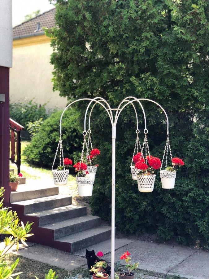 Major Csalad Apartman Хевиз Экстерьер фото